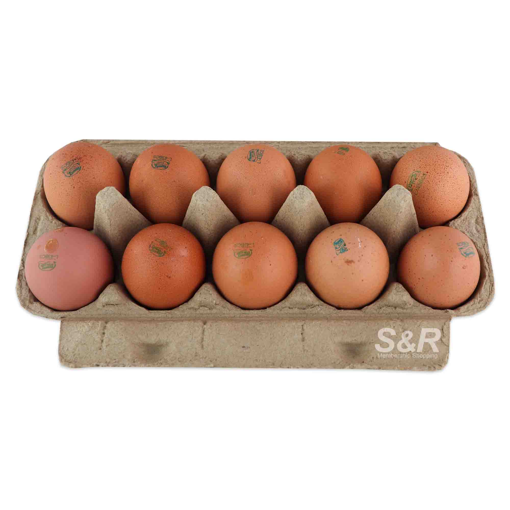 Bounty Fresh Cage-Free Specialty Brown Eggs 10pcs